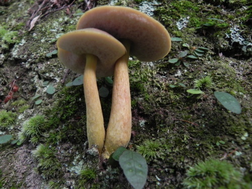 e0352220_13240474.jpg