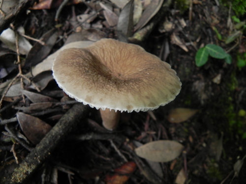 e0352220_13284470.jpg