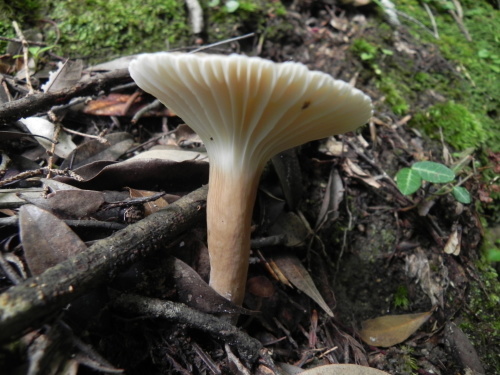 e0352220_13290412.jpg