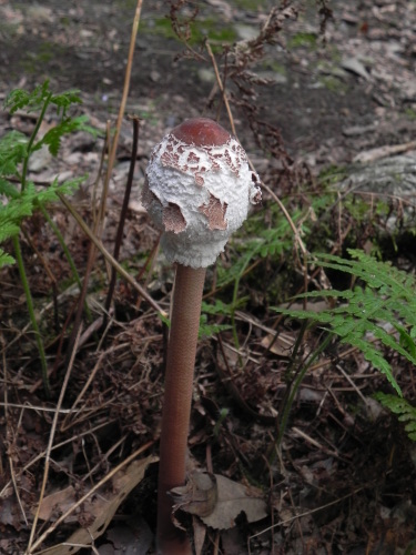 e0352220_13372487.jpg