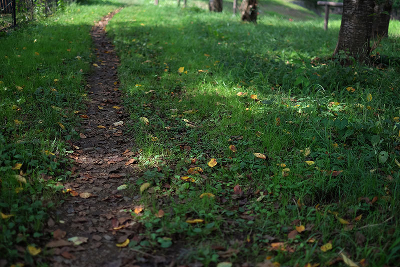 e0123825_20084764.jpg
