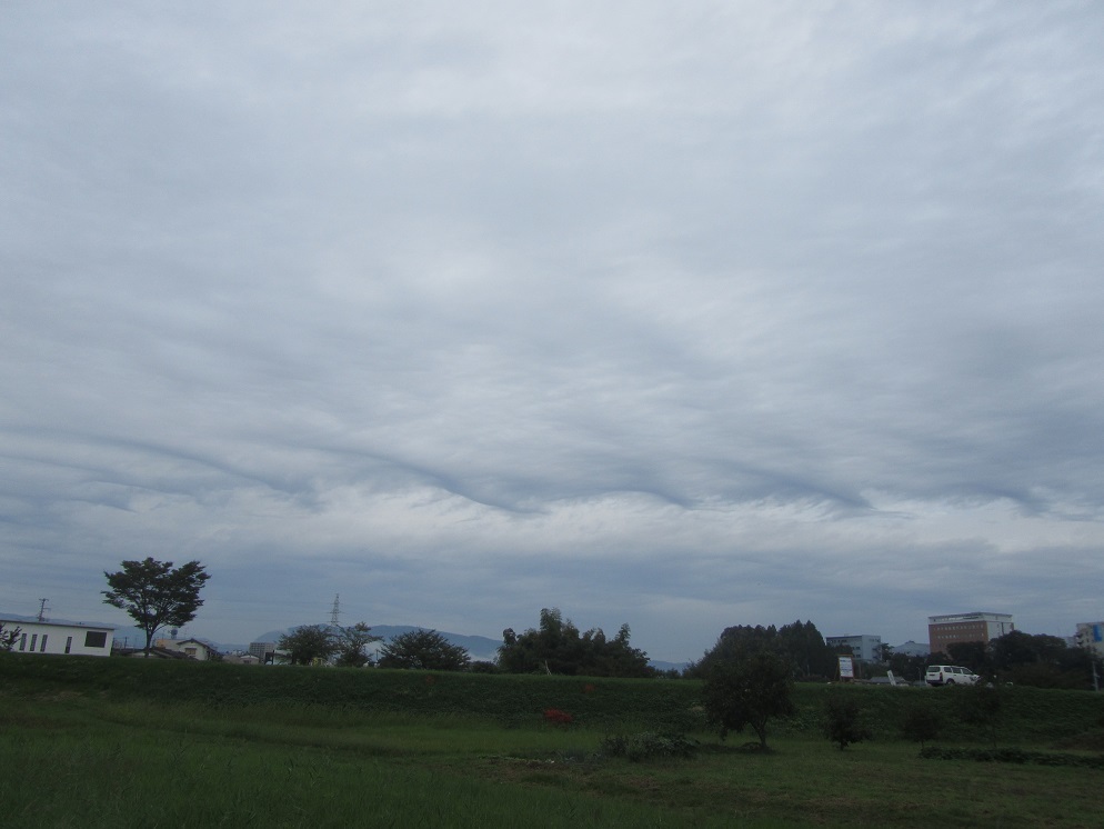e0137130_22345583.jpg