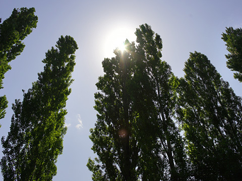 b0182632_18372214.jpg