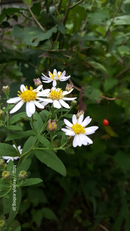 d0269832_10110036.jpeg