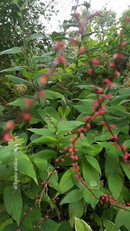 d0269832_10121922.jpeg
