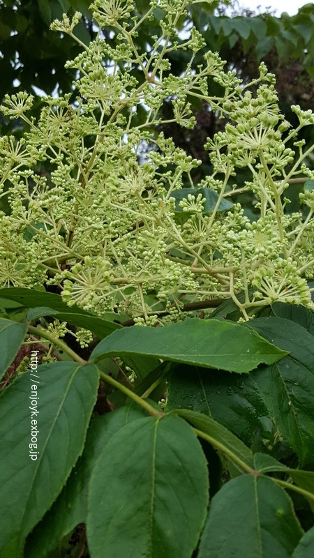 d0269832_10141344.jpeg