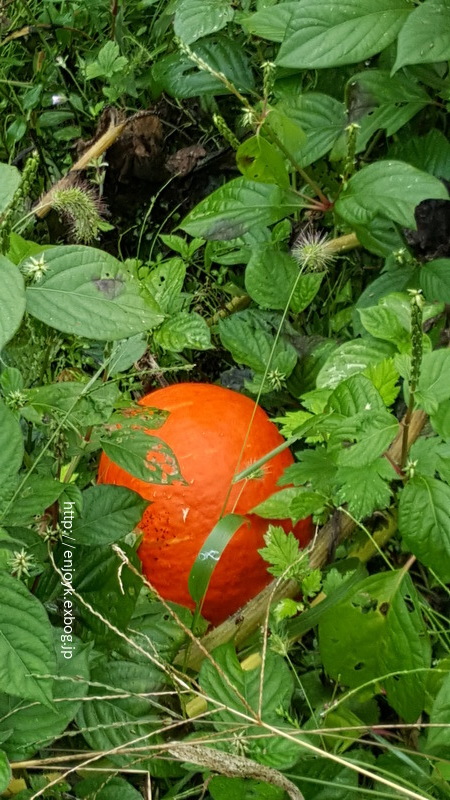 d0269832_10144311.jpeg