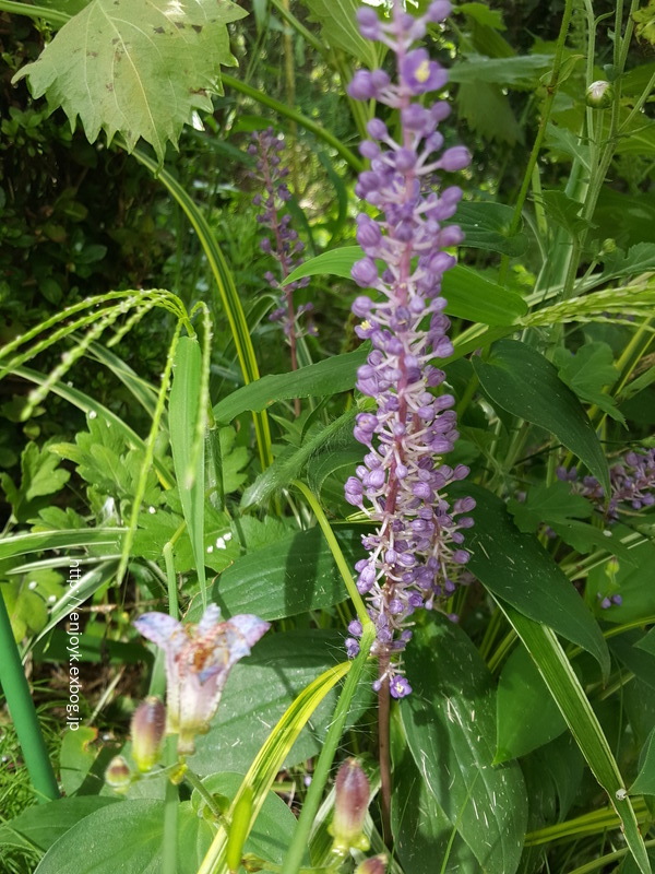 d0269832_10171898.jpeg