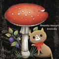 9/30~10/12 mizukaさん個展「Ciel étoilé」開催のお知らせ_f0010033_2111212.jpg