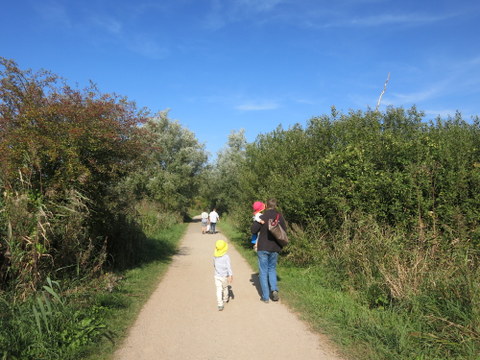 f0210340_56217.jpg