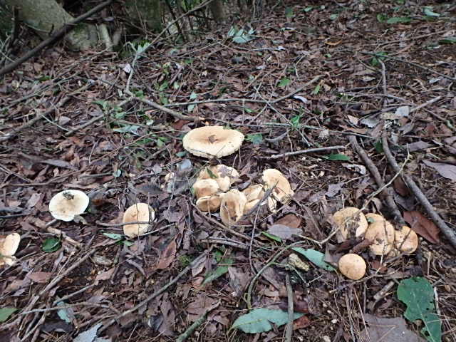f0334143_8215738.jpg
