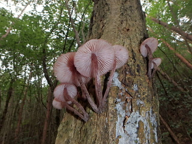 f0334143_8231377.jpg
