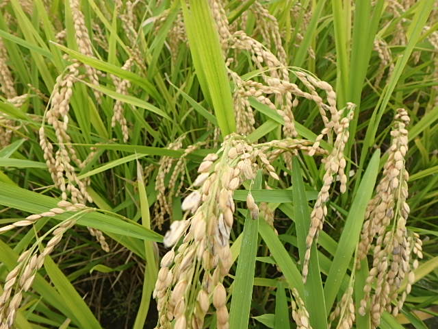 f0334143_8245953.jpg