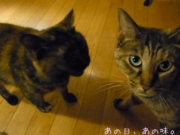 a0305046_09003423.jpg