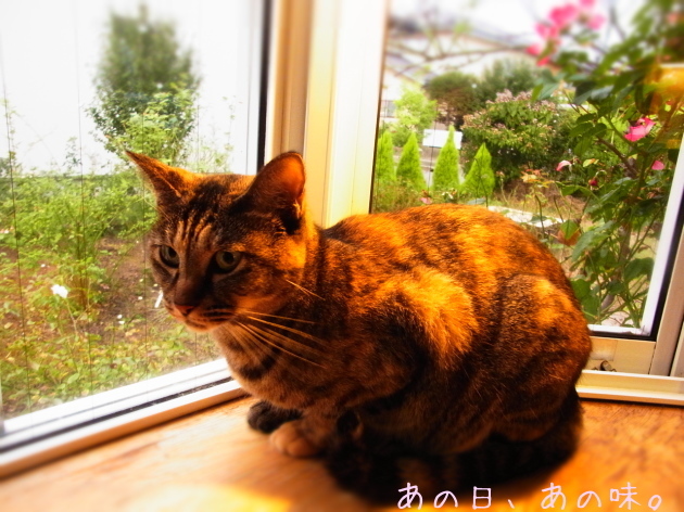 a0305046_09012020.jpg