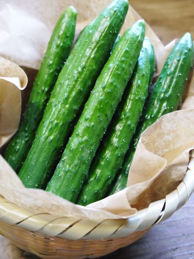 夢キュウリ 平成28年度は10月4日(火)から出荷開始!朝採りの“一番美味かキュウリ”をぜひ!_a0254656_1756611.jpg
