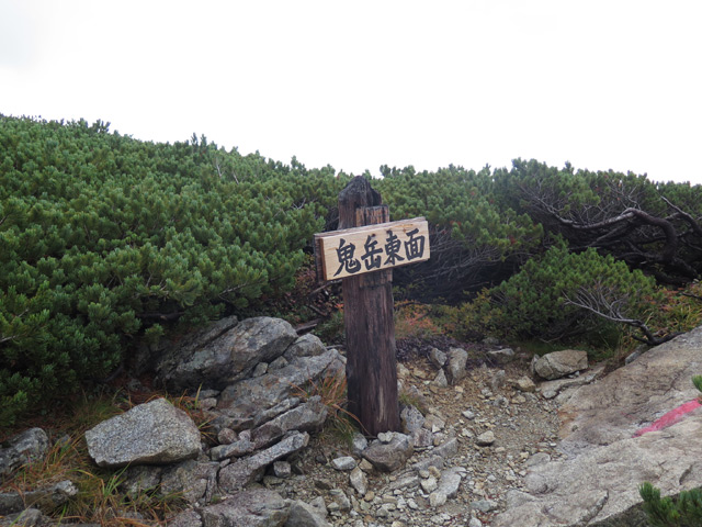 c0116856_20543716.jpg