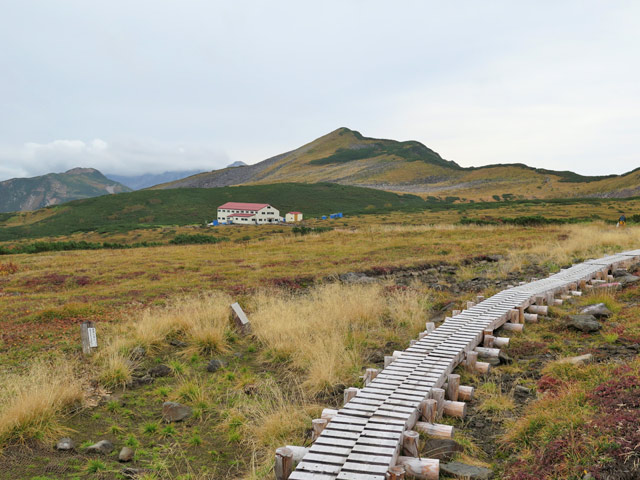 c0116856_20591539.jpg