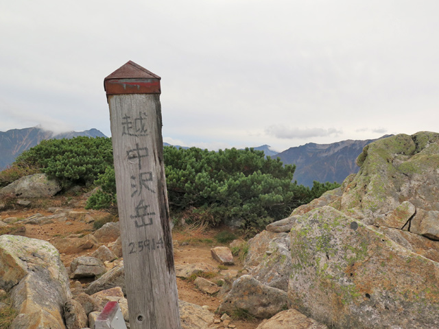 c0116856_213729.jpg