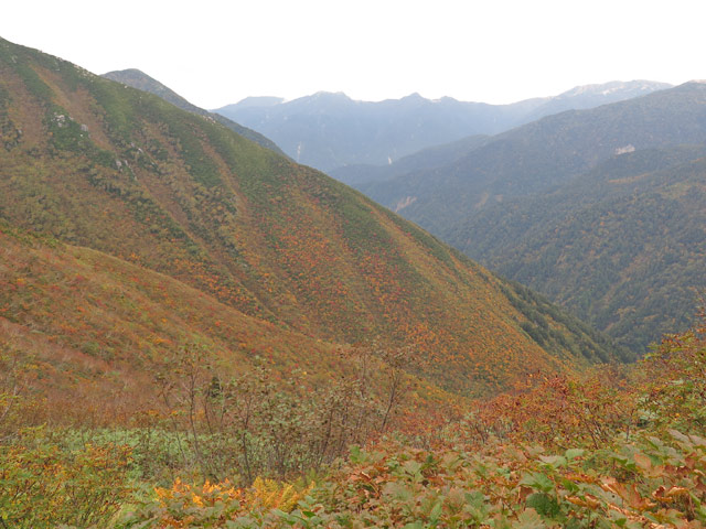 c0116856_2185870.jpg