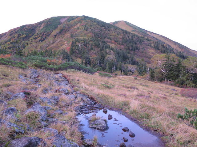 c0116856_23194232.jpg