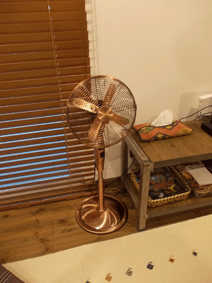 b0129758_1792247.gif