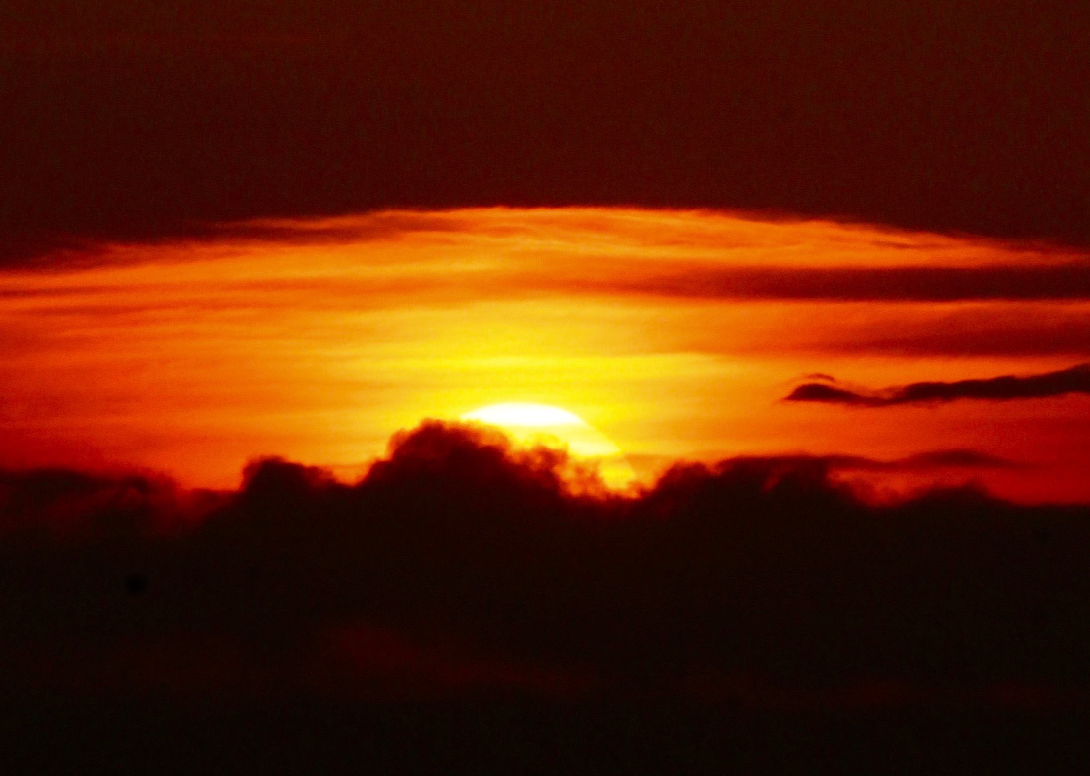 a0248459_15205911.jpg