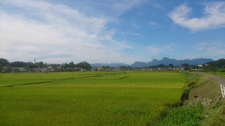 a0208560_919479.jpg