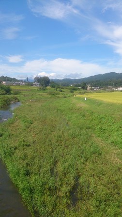 a0208560_920386.jpg