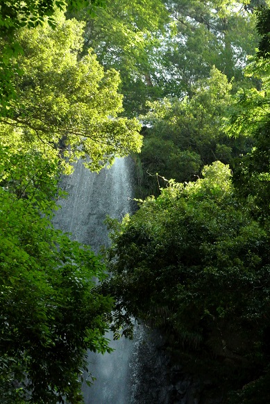 c0219162_10371068.jpg