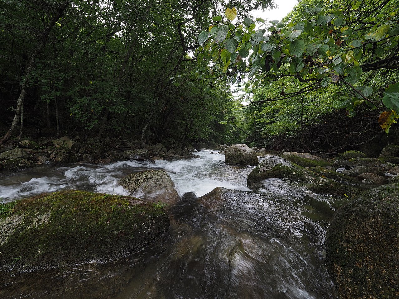 c0237264_2127877.jpg