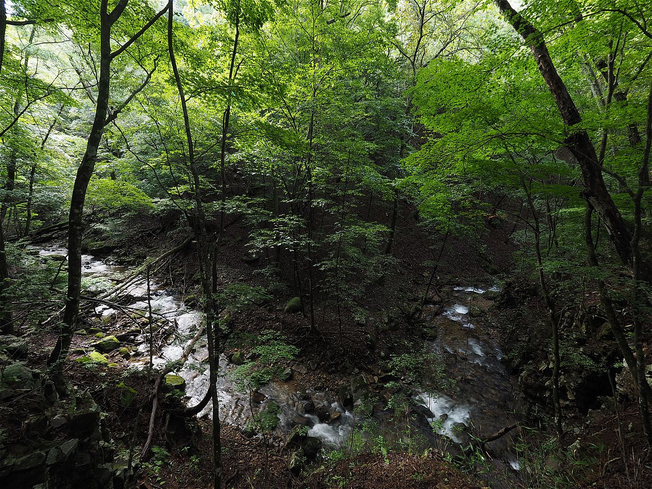 c0237264_2204360.jpg