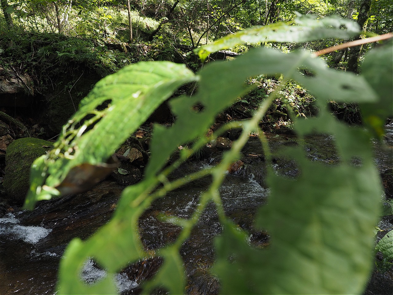 c0237264_221947.jpg