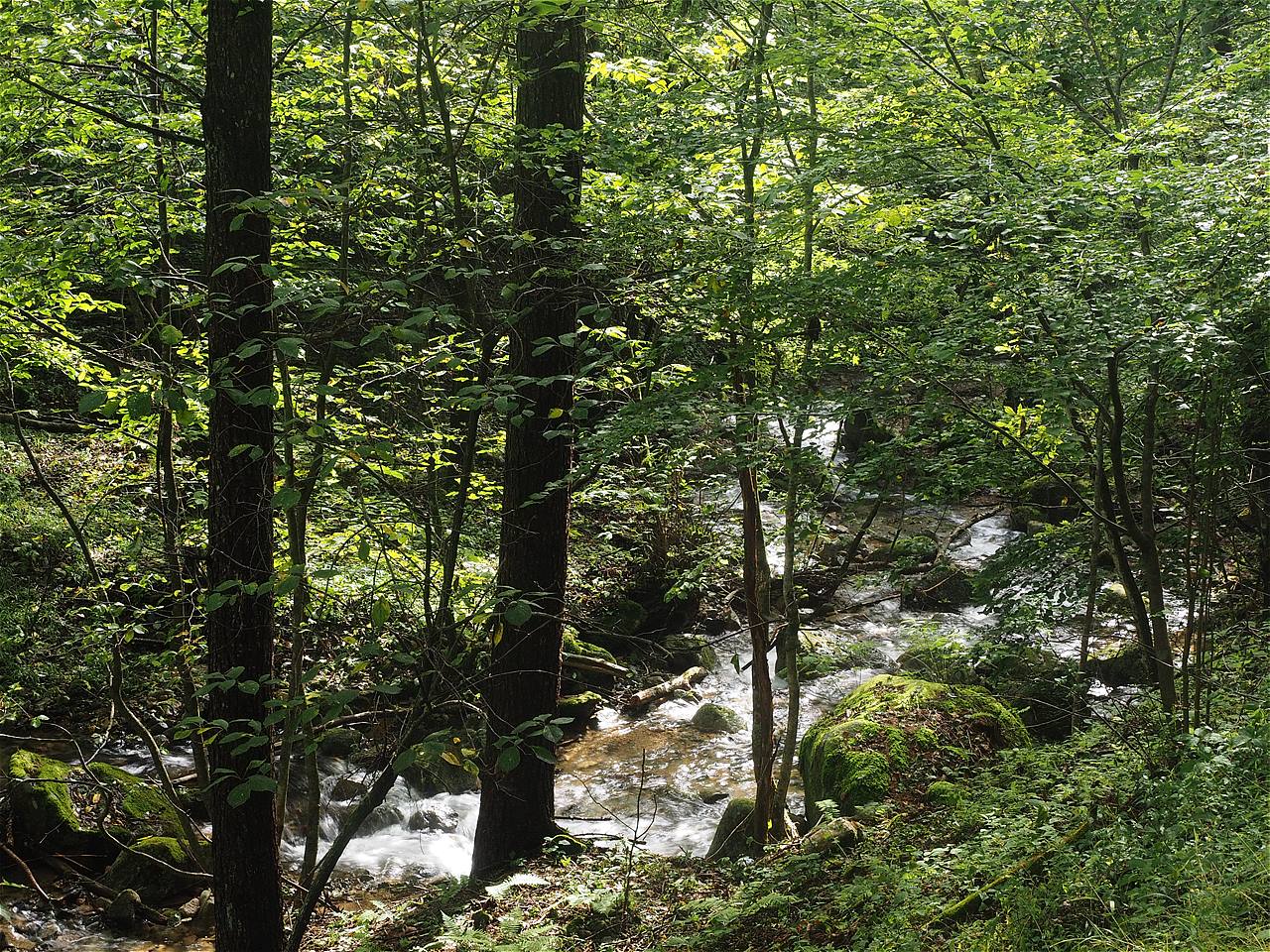 c0237264_22212112.jpg