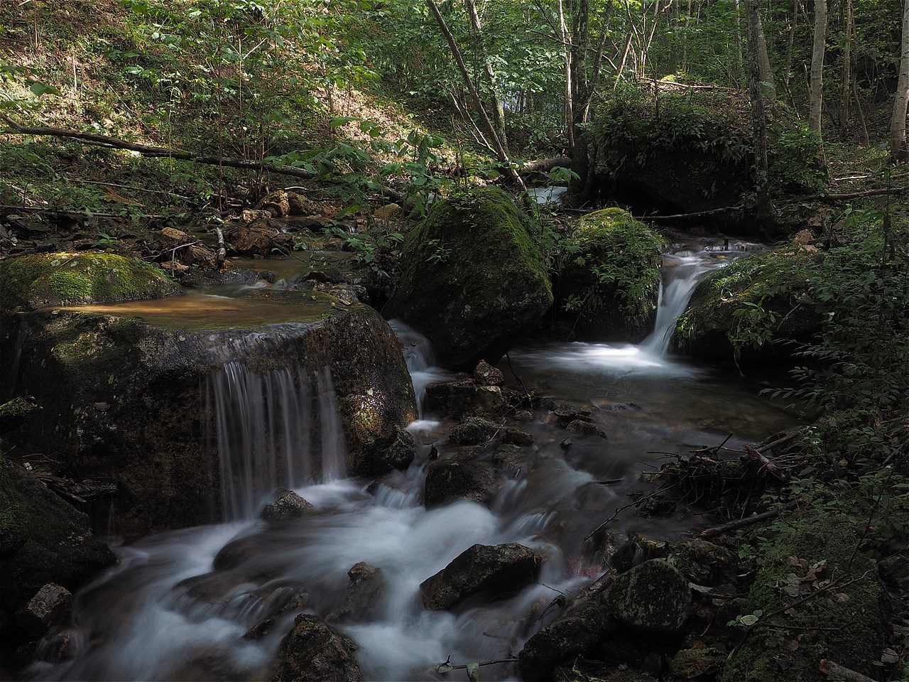 c0237264_2264297.jpg