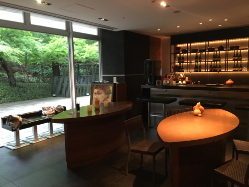 りぼんさんフレンチの名店に招待される①_c0151965_00540267.jpg