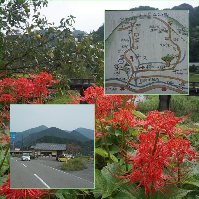 花尾山登山（山口県の山）。_f0016066_21222693.jpg