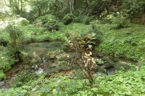 蒜山高原サイクリング　（一日目の様子）_b0332867_11312707.jpg