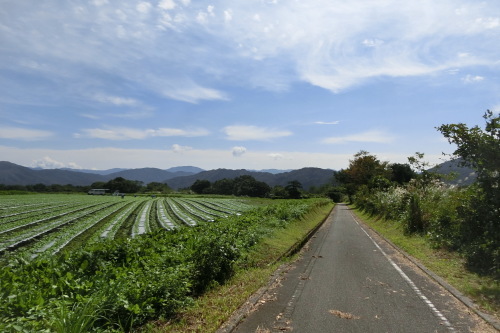 蒜山高原サイクリング　（一日目の様子）_b0332867_11331570.jpg