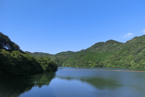 蒜山高原サイクリング　（一日目の様子）_b0332867_11492511.jpg