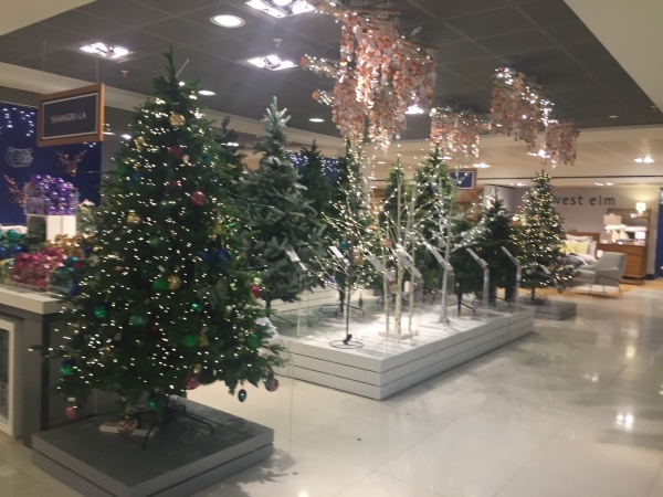 a0123372_03583207.jpeg