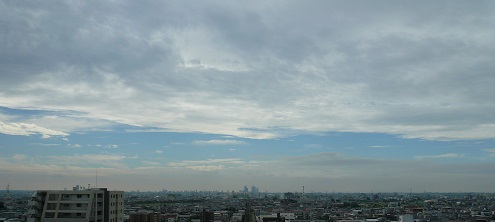 a0307675_1057496.jpg