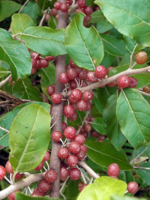 f0083977_23172428.jpg