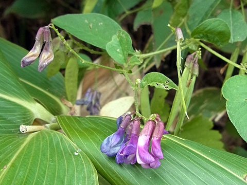 f0083977_2318357.jpg