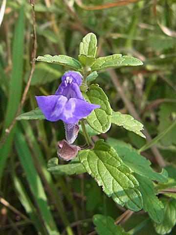 f0083977_23191038.jpg