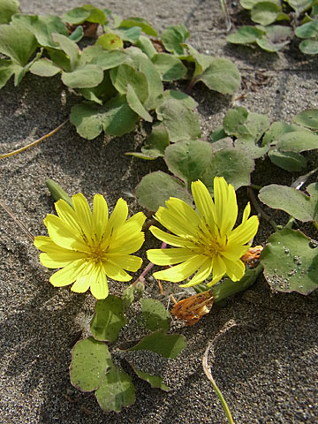 f0083977_23192515.jpg