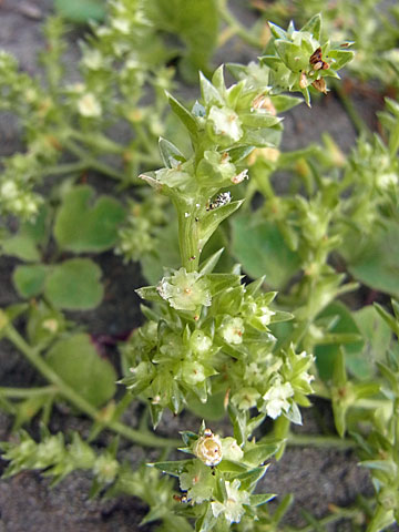 f0083977_2320722.jpg