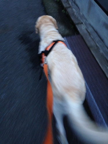 f0315081_21435309.jpeg