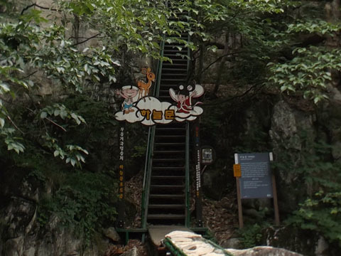 d0115985_00265176.jpg