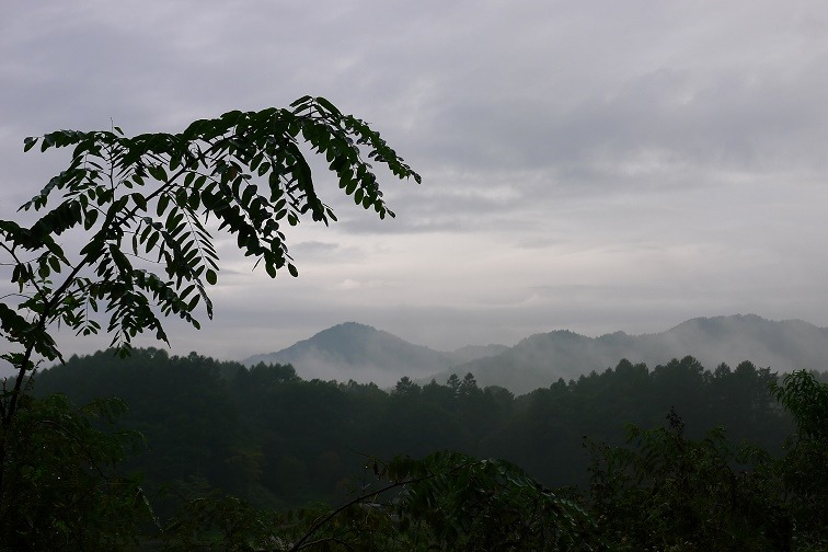 a0130586_8121216.jpg